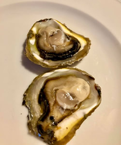 blog-2-shellfish